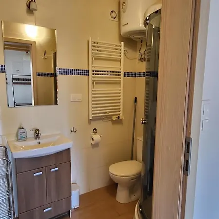 אכסניה Letniskowe,apartamenty Wczasowa 8a