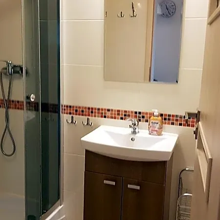 אכסניה Letniskowe,apartamenty Wczasowa 8a סיאנוז'טי
